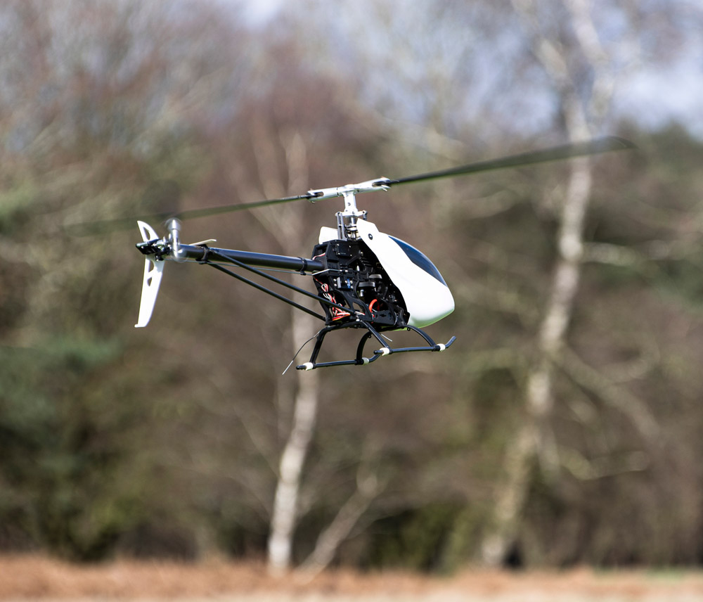 Banks Lane Febuary 2026