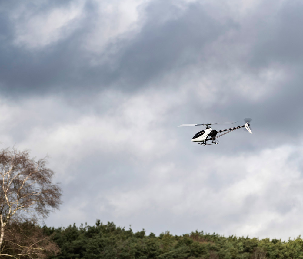 Banks Lane Febuary 2026