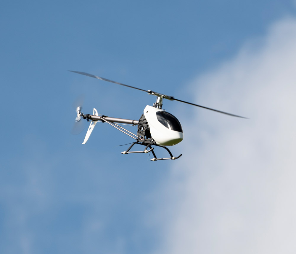 Banks Lane Febuary 2026